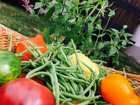 Marthe Kehren's vegetables